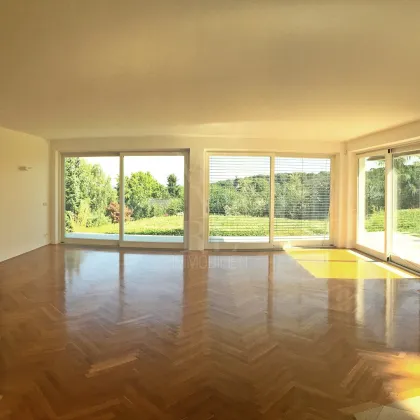 Einfamilienhaus mit Gästehaus - Wienblick am Heuberg - Bild 2