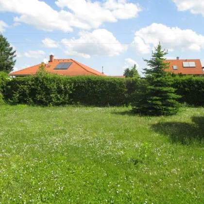 Charmanter Bungalow in Steinbrunn - Ihr Haus beim See - Bild 3