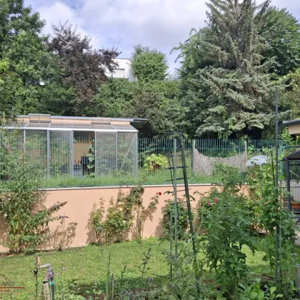 Suburbane Oase im Grünen!!! - Bild 3