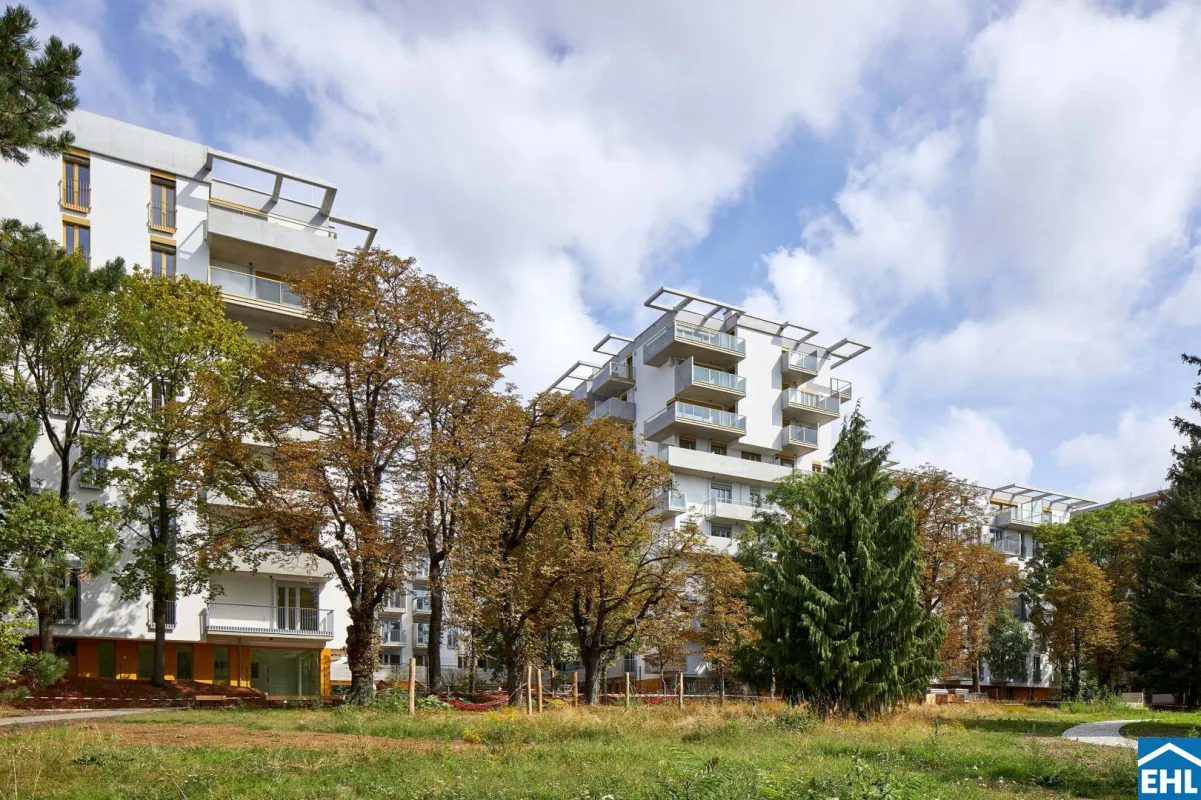 THEOs – Urban leben. Grün genießen. Zuhause ankommen. - Bild 1