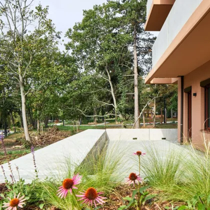 THEOs – Urban leben. Grün genießen. Zuhause ankommen. - Bild 3