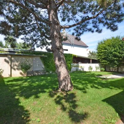 CHRISTOPH CHROMECEK IMMOBILIEN - PERCHTOLDSDORF - Wohnen und Arbeiten unter einem Dach! - Bild 2