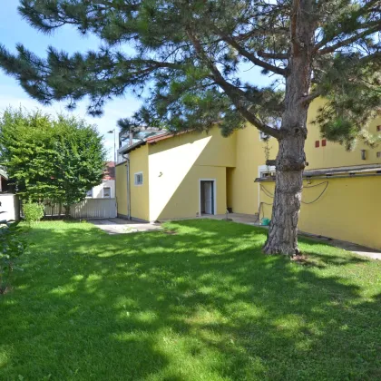CHRISTOPH CHROMECEK IMMOBILIEN - PERCHTOLDSDORF - Wohnen und Arbeiten unter einem Dach! - Bild 3