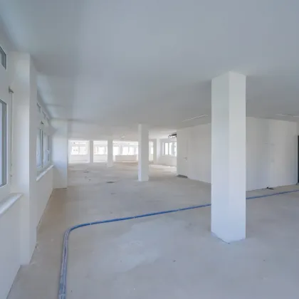 Erstbezug: Moderne Bürofläche in Hietzinger Bestlage - Bild 2