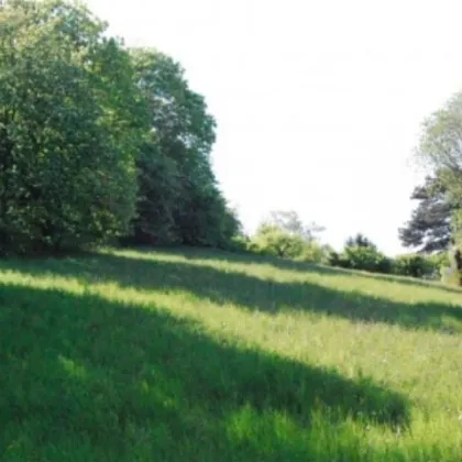 Sonniges Grundstück auf Eigengrund für Ihre Traumvilla in Toplage von Klosterneuburg - Bild 3