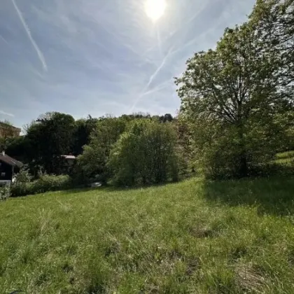Sonniges Grundstück auf Eigengrund für Ihre Traumvilla in Toplage von Klosterneuburg - Bild 2