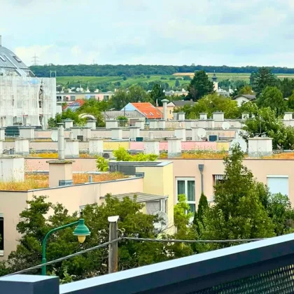 Ruhepol in grüner Citylage – Vorsorge & Eigennutzung PROVISIONSFREI - Bild 2