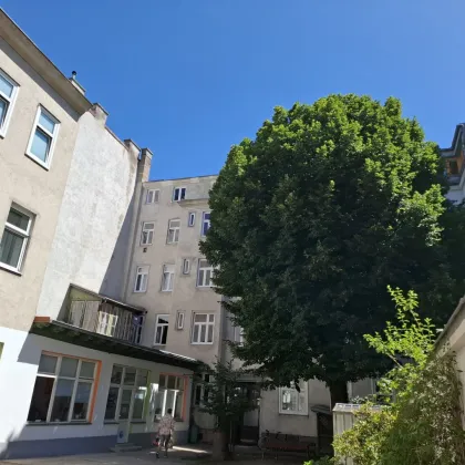 Zinshaus  in ruhiger LAGE -  Nähe Schönbrunner Schloßpark - Bild 3