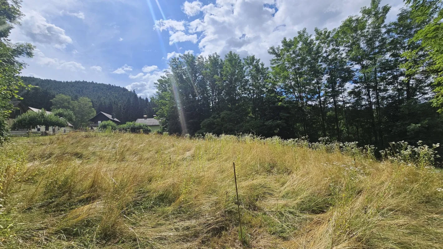 996 m² Baugrundstück in bester Lage von Pischeldorf/Poggersdorf! - Bild 1