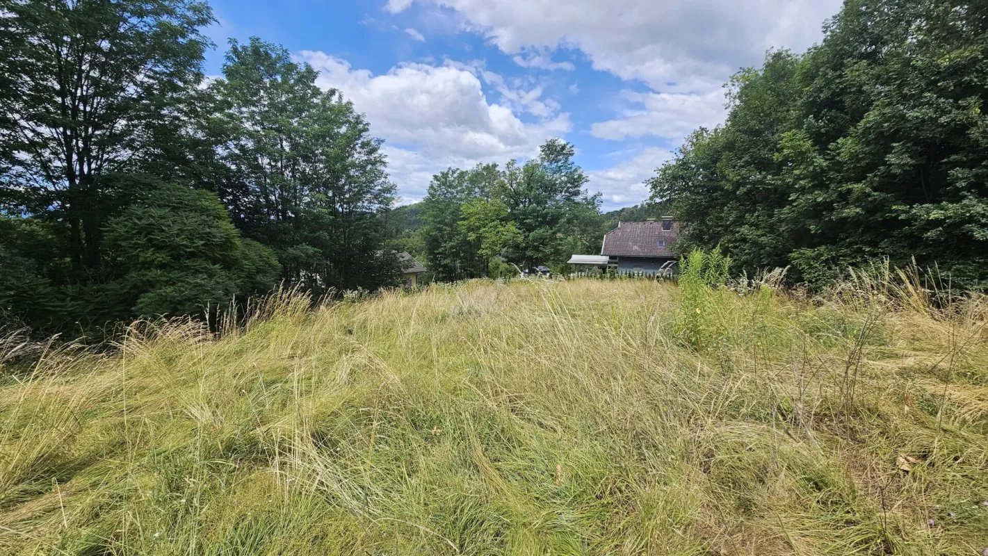 1.380 m² Sonnengrund in Kreuth/Pischeldorf/Poggersdorf! - Bild 1