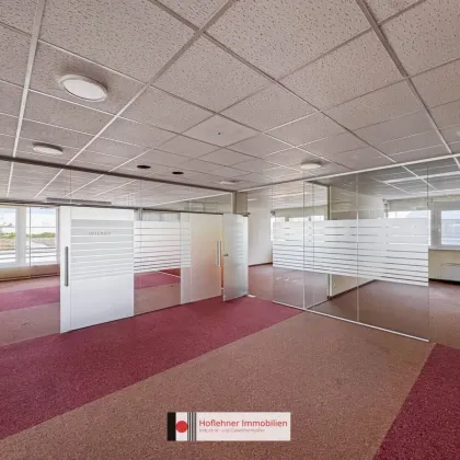 349 m² | Moderne Büros in 1220 Wien | Verschiedene Größen | Nähe S1 - Bild 2