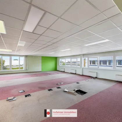 317 m² | Moderne Büros in 1220 Wien | Verschiedene Größen | Nähe S1 - Bild 2