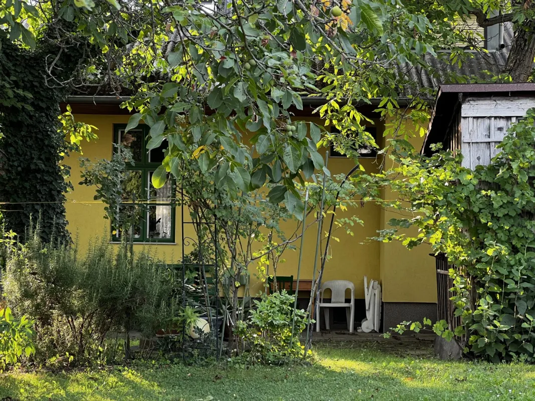 Entzückendes Einfamilienhaus mit Garten in zentraler Lage Deutsch-Wagrams - Bild 1