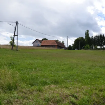 Top-Investitionsmöglichkeit in der Steiermark: Betriebsbaugrund in Teipl (Gemeinde Lannach) mit Erweiterungspotenzial!! - Bild 3