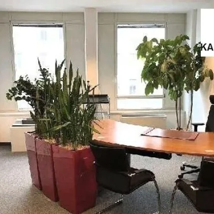 NEUBAUBÜRO - GESCHÄFTSLOKAL - GALERIE - SEMINARRÄUME - Bild 3