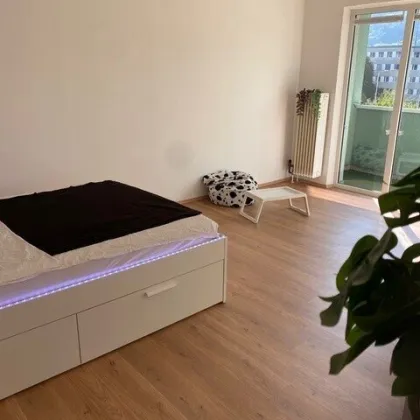 * Nähe Schloss St. Martin: Hübsche Singlewohnung mit Loggia und schönem Ausblick! * - Bild 2