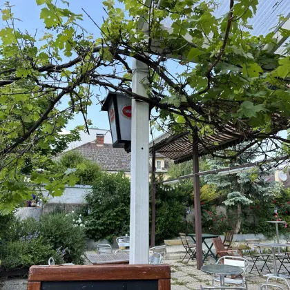 Gewerbeobjekt mit Garten - Bild 3