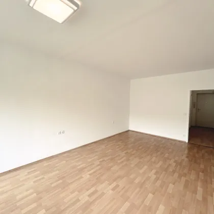 NEU! Preisgünstige 1-Zimmerwohnung mit Loggia nahe Wien zu vermieten! Tiefgaragenstellplätze verfügbar! - Bild 3