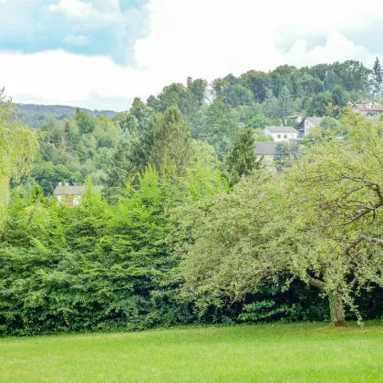 Entwicklungsfähige Liegenschaft im Wienerwald - 6.293 m² Bauland Wohngebiet - Bild 3