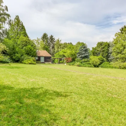 Entwicklungsfähige Liegenschaft im Wienerwald - 6.293 m² Bauland Wohngebiet - Bild 2