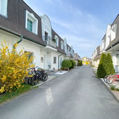 Gesucht wird ein Einfamilienhaus / Doppelhaushälfte mit Garten oder ein Grundstück im Bezirk Bruck an der Leitha! - Bild 2