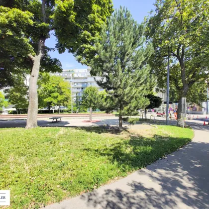 Gewerbe- / Lagerfläche in gepflegter Altbauliegenschaft am Laubepark - Bild 2