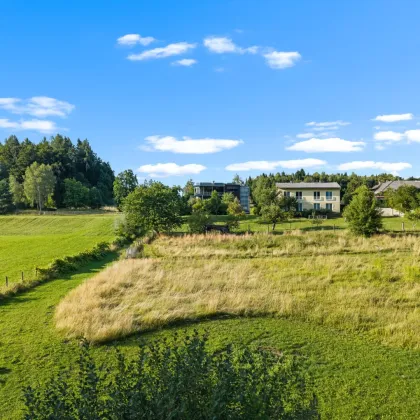 Moderne Dachgeschosswohnung am Aichwaldsee mit privatem Seezugang! - Bild 3