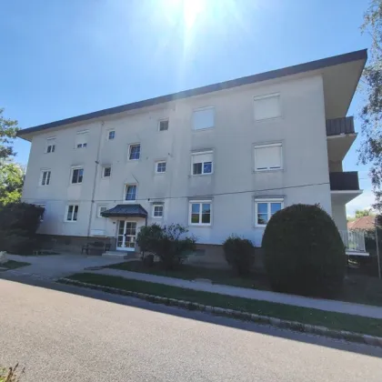Frisch renovierte Eigentumswohnung mit 2 Balkonen in Siegendorf – Ihr neues Zuhause! - Bild 2