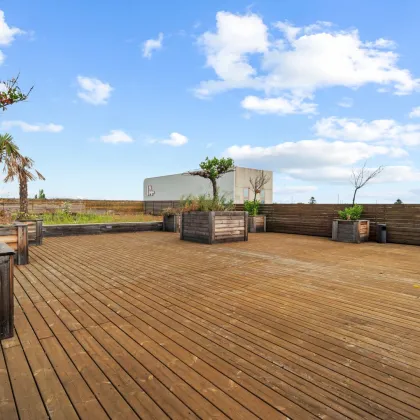 Außergewöhnliche Gewerbefläche in Wien: 2.915 m², Räumlichkeiten, Terrasse & 24 Stellplätze! - Bild 2