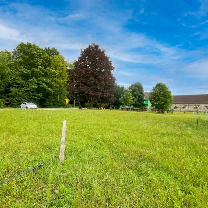 Ruhige Lage nahe Weiz: Wohn-Baugrund im Aufschließungsgebiet Dorfgebiet. - Bild 2