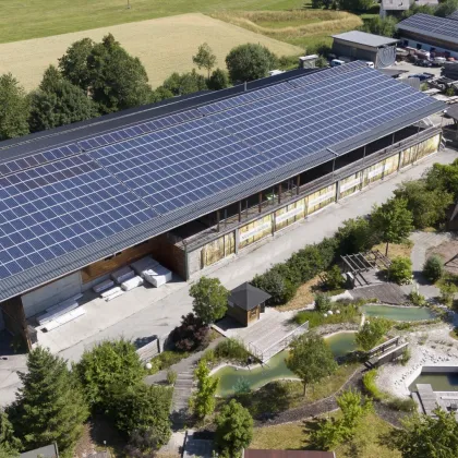 #Halle #Schauraum #Büro #Werkstatt #Lager #Salzburg in 30 Minuten  #JETZT KAUFEN! - Bild 2