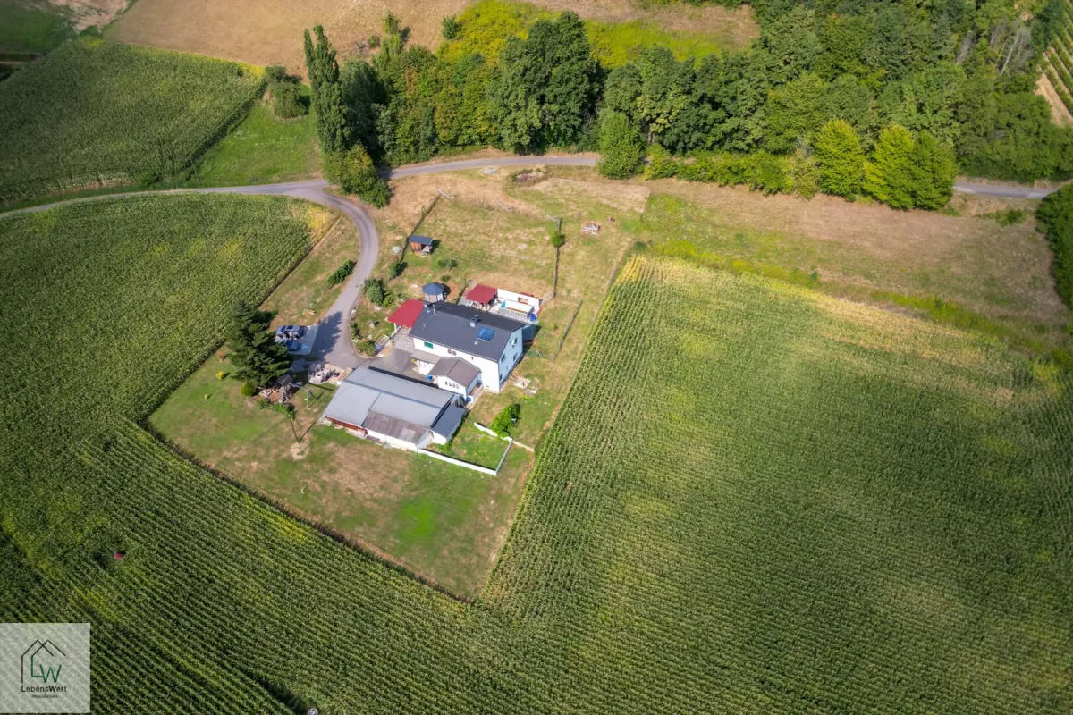 Ihre private Oase – großzügig, sonnig, vielseitig - Mehrfamilienhaus in Jennersdorf - Bild 1