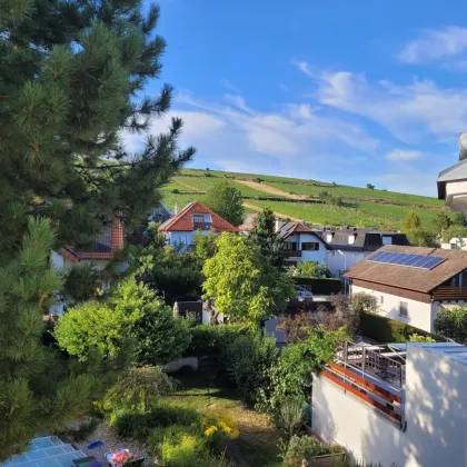 Grünes Wohnen am Fuß des Weinbergs - Bild 3