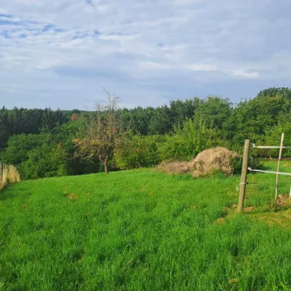 Naturnah Wohnen mit Weitblick in der Thermenregion Bad Waltersdorf 6766m² - Bauland, Wiese & Wald - Bild 2
