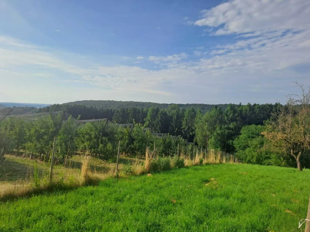 Naturnah Wohnen mit Weitblick in der Thermenregion Bad Waltersdorf 6766m² - Bauland, Wiese & Wald - Bild 1