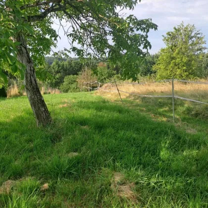 Naturnah Wohnen mit Weitblick in der Thermenregion Bad Waltersdorf 6766m² - Bauland, Wiese & Wald - Bild 3