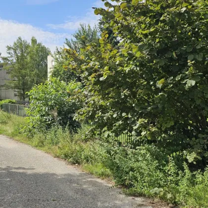 Neuer Preis! Traumhaftes Baugrundstück im Zentrum – Ihr Eigenheim mit Grünblick - Bild 3