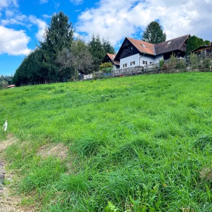 RUHELAGE & AUSSICHTSLAGE! Baugrundstück nahe Graz! - Bild 3