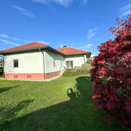 !!!NEUER PREIS!!! Topgepflegter Bungalow sucht neuen Familienanschluss! - Bild 2