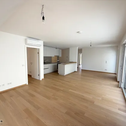 L-T8 - Erstbezug: Dachgeschosswohnung mit Lift I 5 Zimmer I 2 Balkone I absolute Grünruhelage mit Garagenplatzmöglichkeit - 1230 Wien - Bild 3