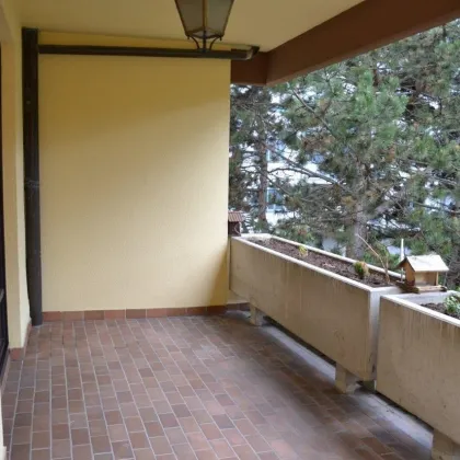 Hietzinger Cottage - Wohnung mit Terrasse und Kamin - Grünruhelage - Bild 3