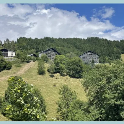 SIMONHÖHE SKI- UND WANDERGEBIET - Bild 3