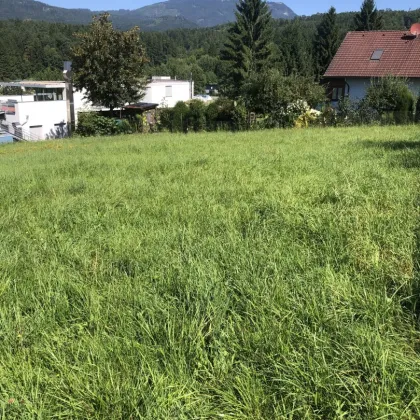 SONNENLAGE in Weinitzen Grundstück 1196 m² mit Schöcklblick aufgeschlossen - Bild 3