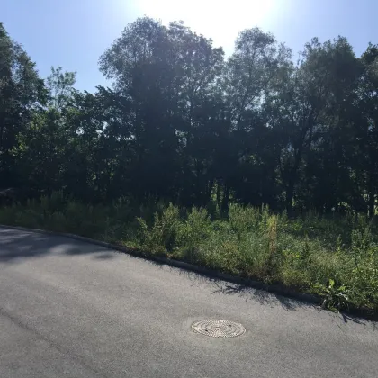 Baugrundstück in Münster- Sonnenlage,  für großes Einfamilienhaus oder Doppelhaus geeignet! - Bild 3