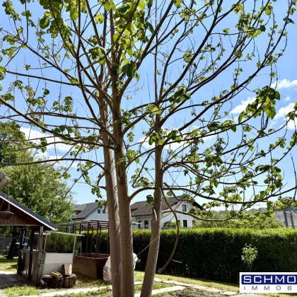 Grundstück mit Altbestand in Schlüßlberg - Bild 2