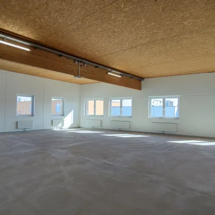 Bezugsfertige Räume 306 m² – vielseitig nutzbar im Shopping Point Neunkirchen zu vermieten! - Bild 3