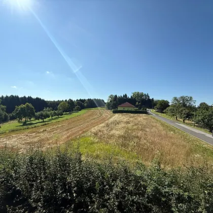 Ein oder Merhfamilienhaus in absoluter Ruhelage 5 min von Stegersbach - Bild 2