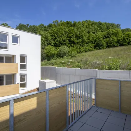 ERSTBEZUG: Wohnung plus Garage im wunderschöner Grünruhelage - Bild 2