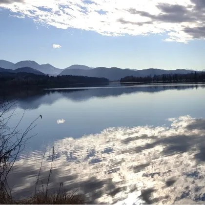 K3 - RENDITEOBJEKT: APPARTEMENTHAUS IN DER FERIENREGION KLOPEINERSEE mit 6 Wohneinheiten, neuwertig, geschmacksvolle und gehobene Ausstattung, Carports, Pferdeboxen, Ruhelage. - Bild 3