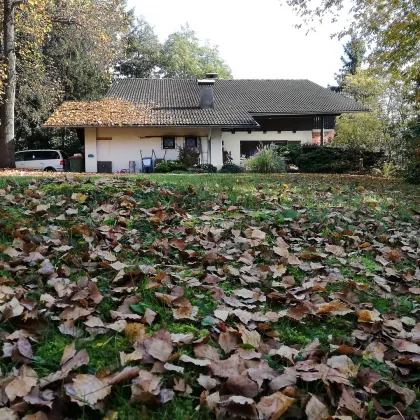 Velden - Ein/Zweifamilienhaus eingebettet in wunderbare Natur,Panoramablick auf die Karawanken und Zweitwohnsitz-Widmung - Bild 3